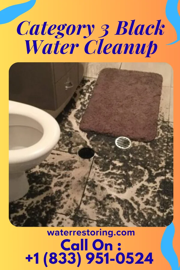 Category 3 Black Water Cleanup in Lake Lorraine, WI