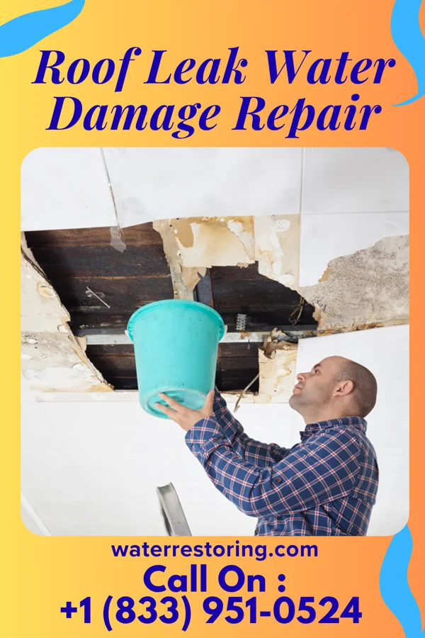 Roof Leak Water Damage Repair in Lake Lorraine, WI