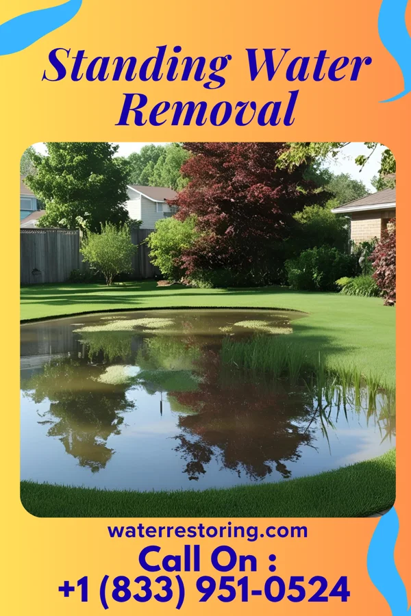 Standing Water Removal in Lake Lorraine, WI